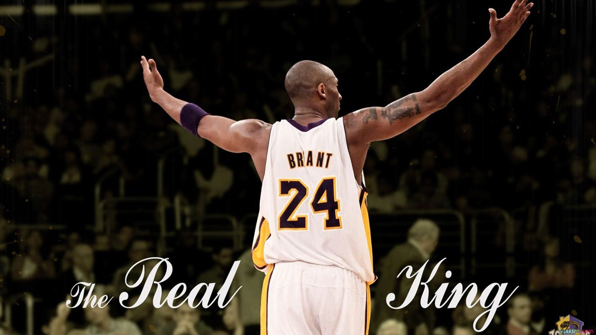 意甲战况：菲尼克斯太阳防线稳固，明尼苏达森林狼进攻受阻，C罗成最佳(星际牛仔动画)